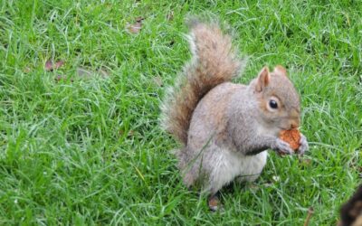 10 astuces pour économiser de l’argent au quotidien (méthodes ricrac)