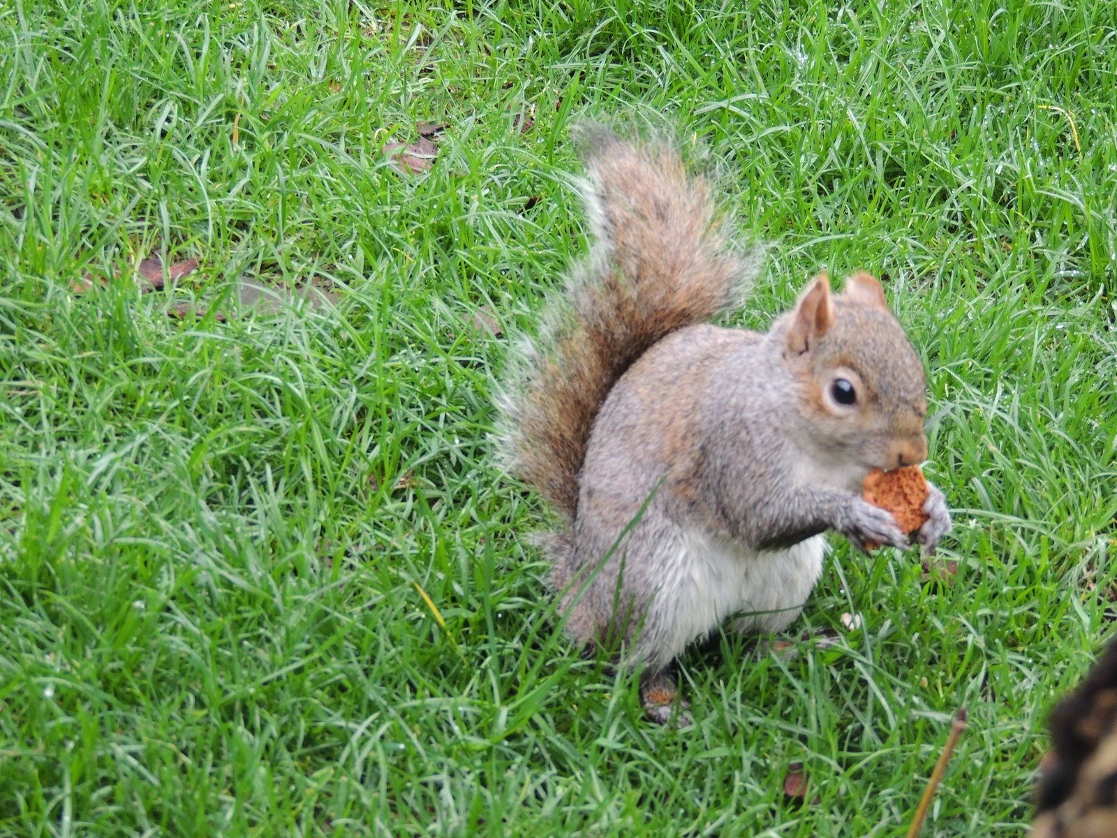 10 astuces pour économiser de l&rsquo;argent au quotidien (méthodes ricrac)